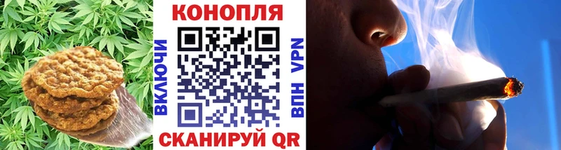 купить наркоту  Зеленогорск  Cannafood конопля 
