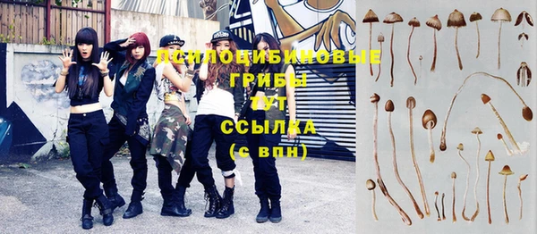 дурь Елабуга