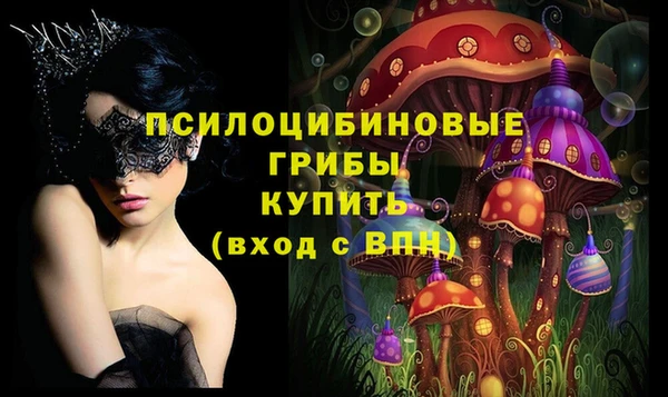 mdma Ельня