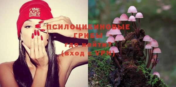mdma Ельня