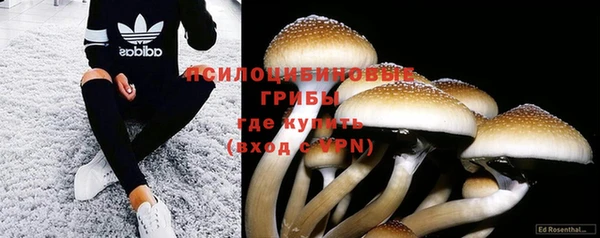 дурь Елабуга
