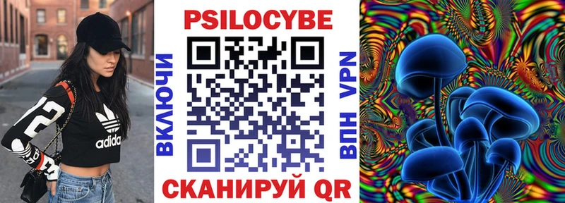 Галлюциногенные грибы Cubensis  где купить наркотик  Зеленогорск 